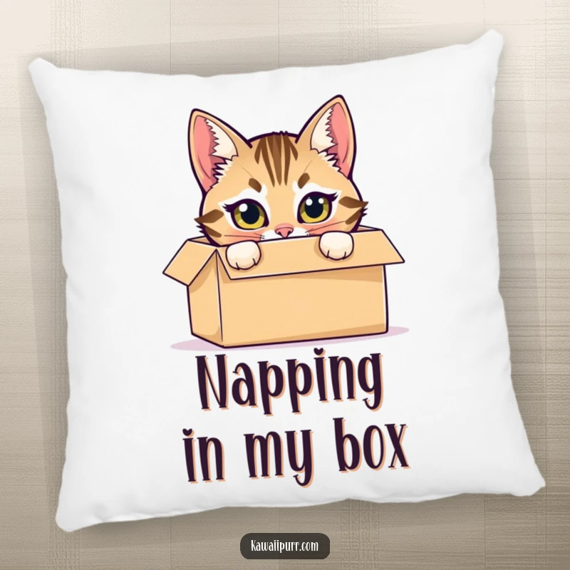 Funny pillow featuring a mischievous tabby cat hiding inside a cardboard box, peeking out with bright eyes.