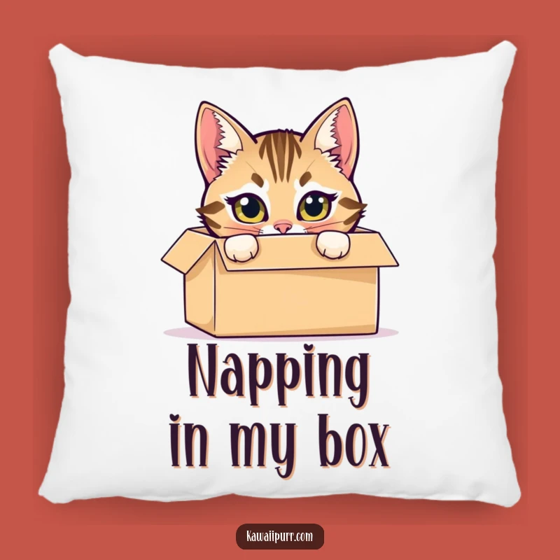 Funny Tabby Cat Box Pillow: Cozy Mischief and Feline Comfort